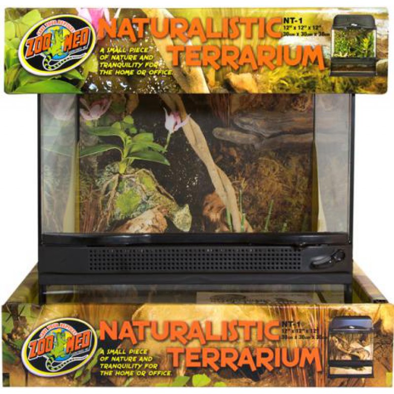 Naturalistic Terrarium - 12" x 12" x 12"