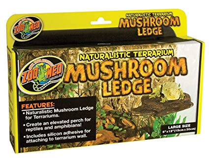 Mushroom Ledge LARGE (33 x 16.3 x 7.4 cm)