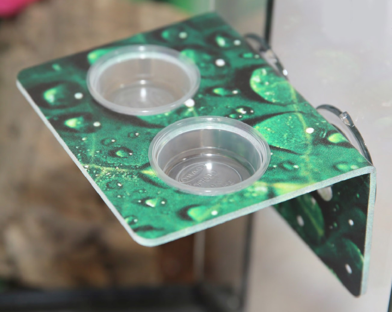 Small Gecko Ledge w/ Suction Cups - Green Raindrop Graphic