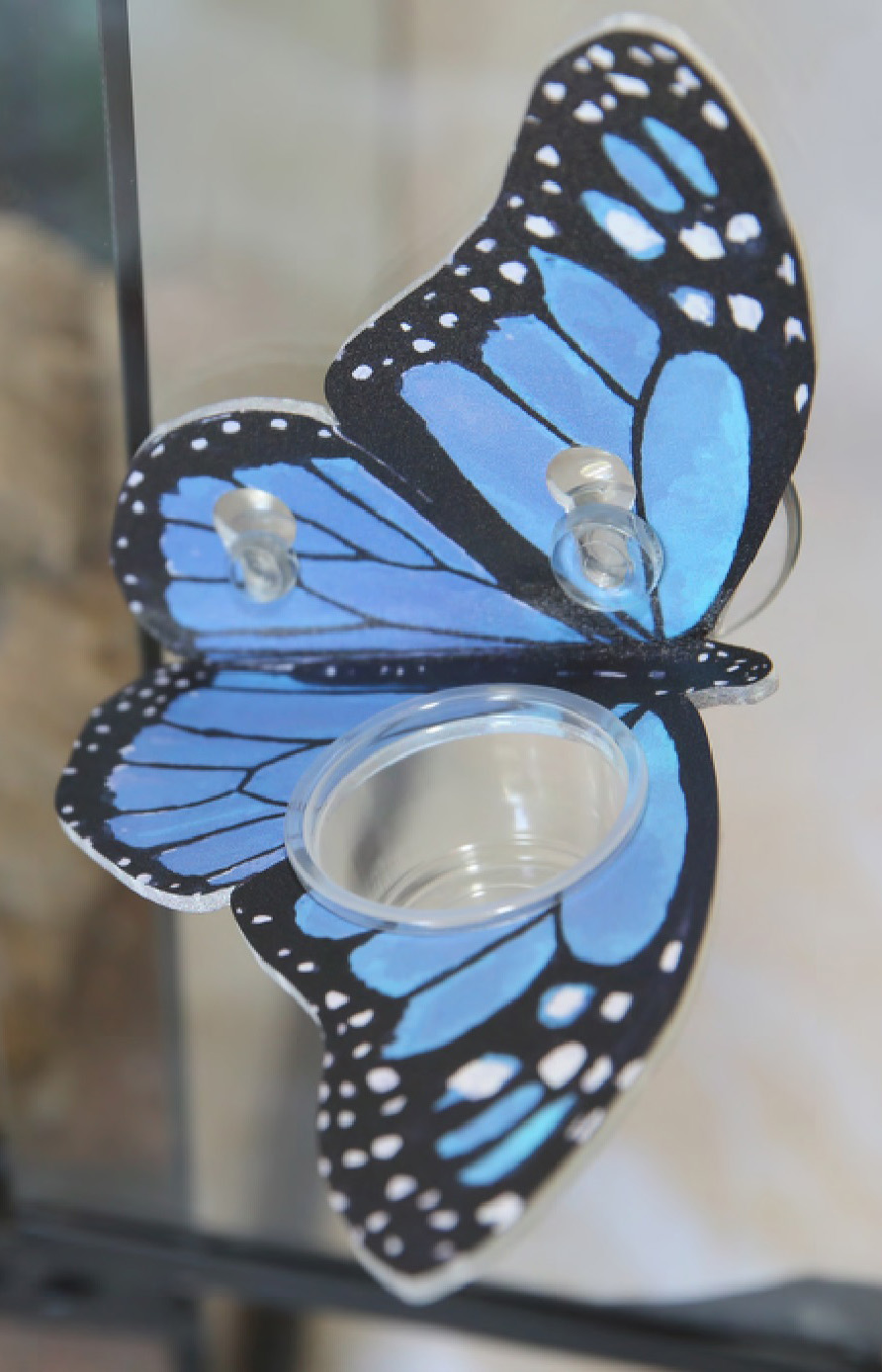 Butterfly Ledge - Blue