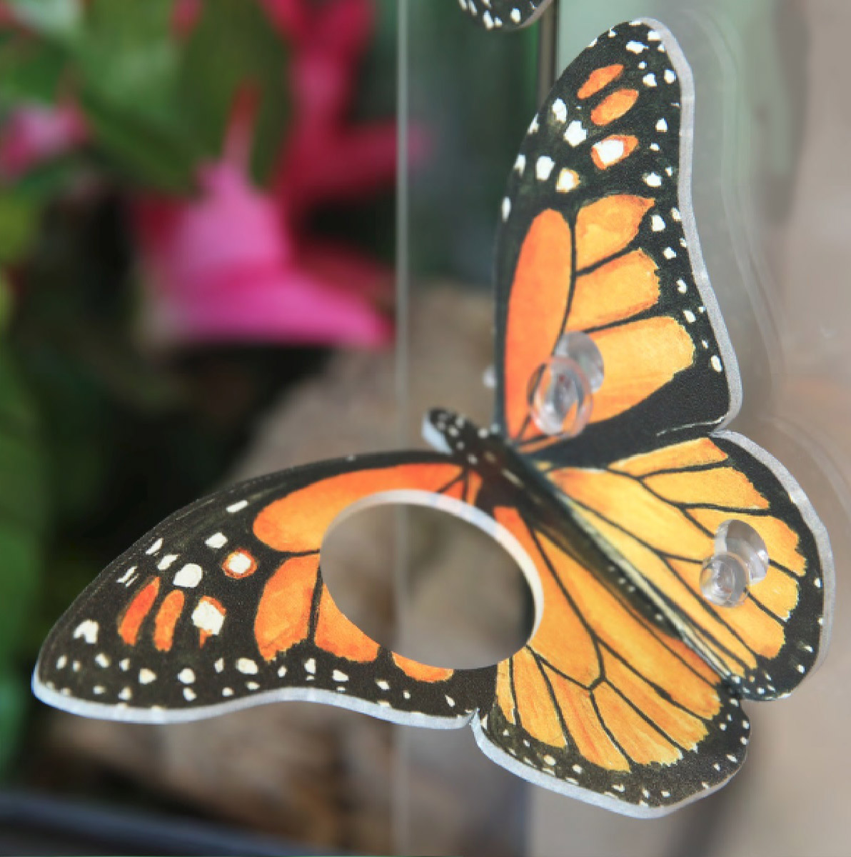 Butterfly Ledge - Orange