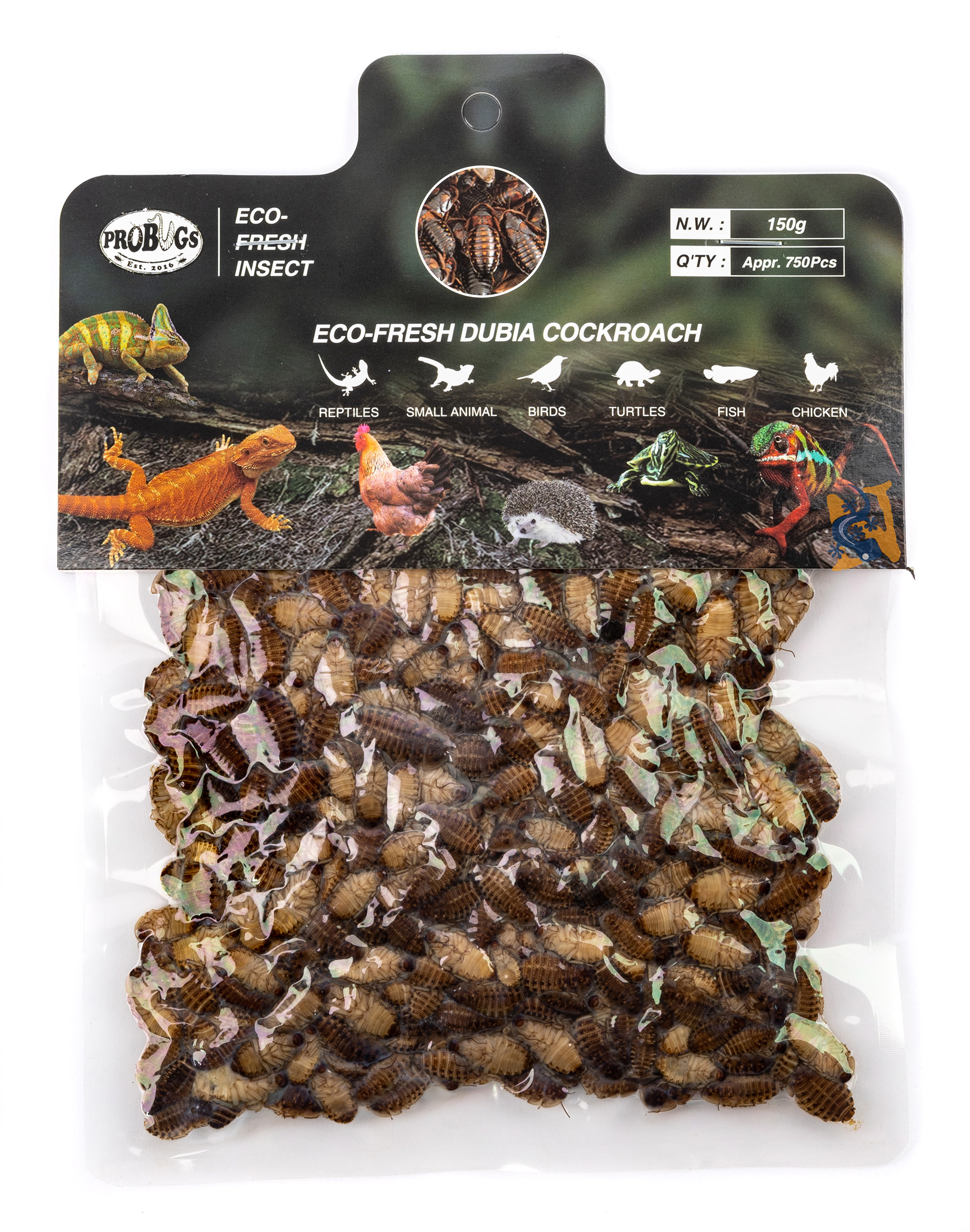 Eco-Fresh Dubia Roach Bulk SMALL (150 g)