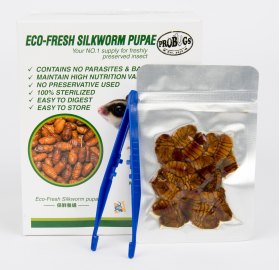Eco-Fresh Silkworms - Single pack