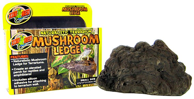 Mushroom Ledge SMALL (18.8 x 11.9 x 5.3 cm)